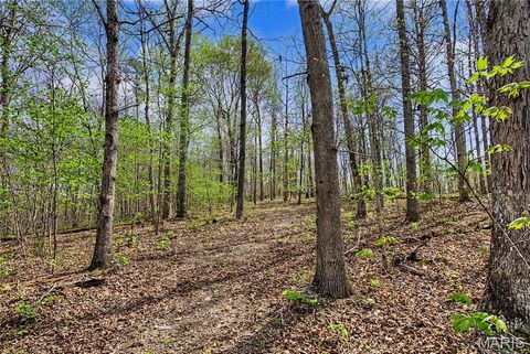 Tiny photo for 23445 Highway 49, Black, MO 63625 (MLS # 26023215)