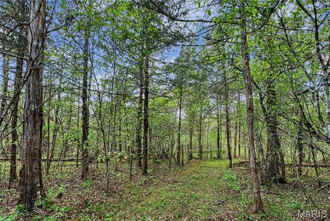 Tiny photo for 23445 Highway 49, Black, MO 63625 (MLS # 26023215)