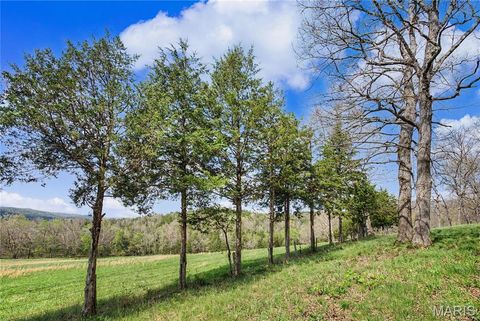 Tiny photo for 23445 Highway 49, Black, MO 63625 (MLS # 26023215)