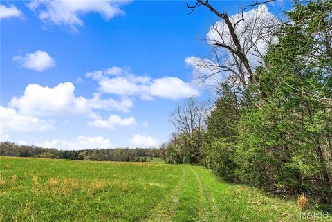 Tiny photo for 23445 Highway 49, Black, MO 63625 (MLS # 26023215)