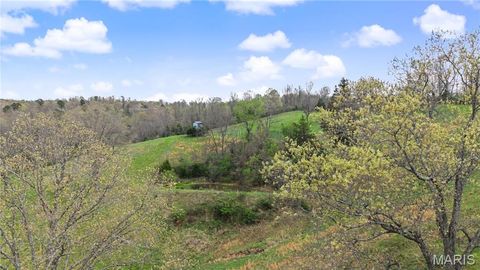 Tiny photo for 23445 Highway 49, Black, MO 63625 (MLS # 26023215)