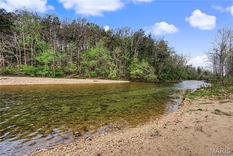 Tiny photo for 23445 Highway 49, Black, MO 63625 (MLS # 26023215)