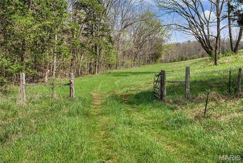 Tiny photo for 23445 Highway 49, Black, MO 63625 (MLS # 26023215)
