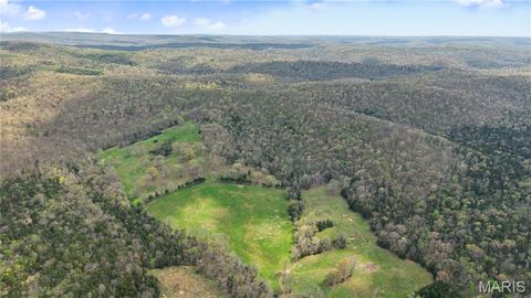 Tiny photo for 23445 Highway 49, Black, MO 63625 (MLS # 26023215)