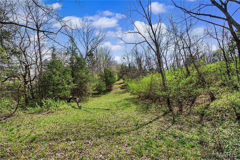 Tiny photo for 23445 Highway 49, Black, MO 63625 (MLS # 26023215)
