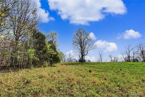 Tiny photo for 23445 Highway 49, Black, MO 63625 (MLS # 26023215)