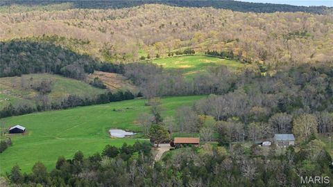 Tiny photo for 23445 Highway 49, Black, MO 63625 (MLS # 26023215)