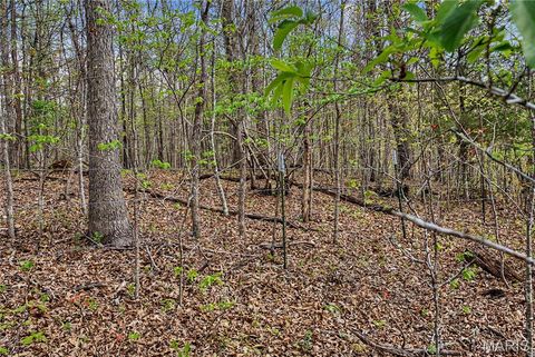 Tiny photo for 23445 Highway 49, Black, MO 63625 (MLS # 26023215)