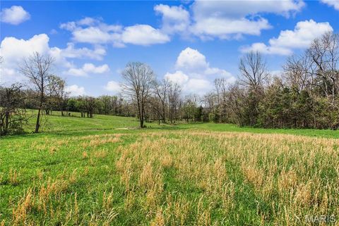 Tiny photo for 23445 Highway 49, Black, MO 63625 (MLS # 26023215)