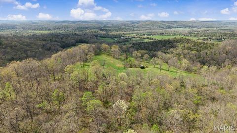 Tiny photo for 23445 Highway 49, Black, MO 63625 (MLS # 26023215)