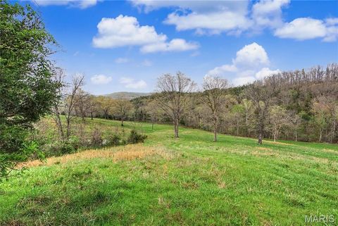 Tiny photo for 23445 Highway 49, Black, MO 63625 (MLS # 26023215)