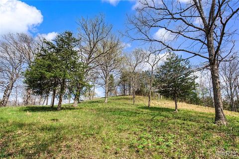Tiny photo for 23445 Highway 49, Black, MO 63625 (MLS # 26023215)
