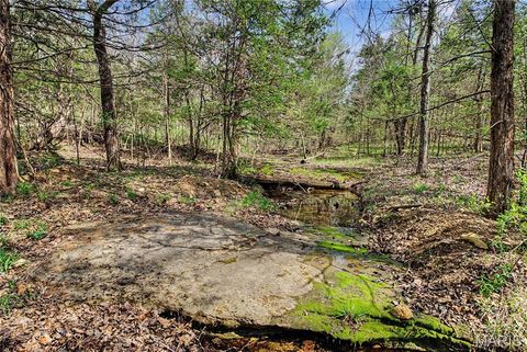 Tiny photo for 23445 Highway 49, Black, MO 63625 (MLS # 26023215)