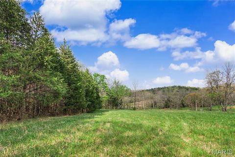 Tiny photo for 23445 Highway 49, Black, MO 63625 (MLS # 26023215)