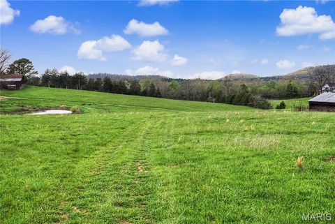 Tiny photo for 23445 Highway 49, Black, MO 63625 (MLS # 26023215)