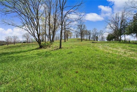 Tiny photo for 23445 Highway 49, Black, MO 63625 (MLS # 26023215)