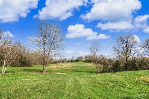 Tiny photo for 23445 Highway 49, Black, MO 63625 (MLS # 26023215)