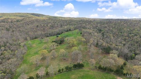 Tiny photo for 23445 Highway 49, Black, MO 63625 (MLS # 26023215)