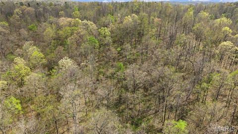 Tiny photo for 23445 Highway 49, Black, MO 63625 (MLS # 26023215)