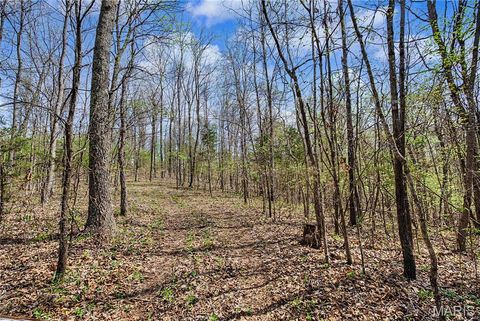 Tiny photo for 23445 Highway 49, Black, MO 63625 (MLS # 26023215)
