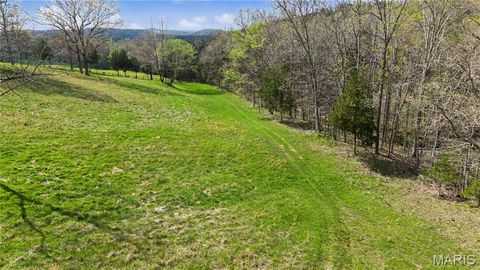 Tiny photo for 23445 Highway 49, Black, MO 63625 (MLS # 26023215)