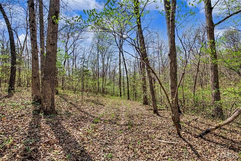 Tiny photo for 23445 Highway 49, Black, MO 63625 (MLS # 26023215)