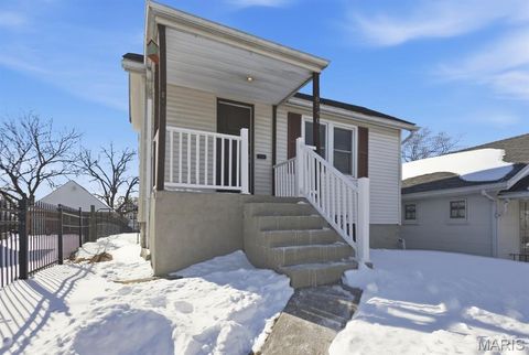 6540 McCune Avenue St Louis MO 63139