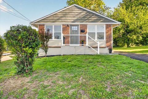 Photo of 401 Meacham Street, Kirkwood, MO 63122 (MLS # 26023879)