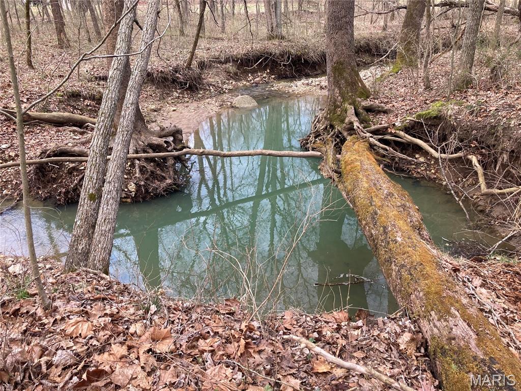 65 +/- Acres Pendleton Lost Creek Road
