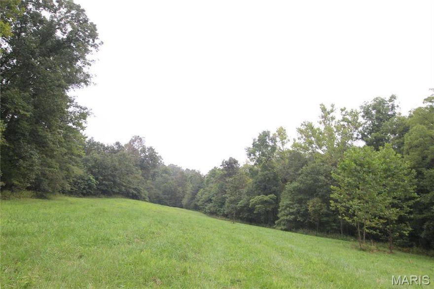 Opportunity to own a large tract of land in Warrenton consisting of four parcels being sold together, totalling 65.53 Acres. This property offers a private, wooded setting with a mix of natural terrain, making it ideal for recreational use, a future homesite, or investment potential. The acreage provides space to spread out while still being conveniently located near town and major highways.

No utilities are currently connected to the property. Buyer to verify availability of electric, water, sewer or septic options, zoning, and building requirements.