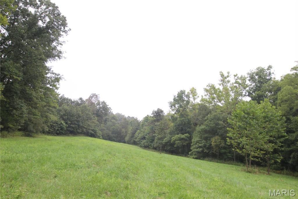 Photo of 65 +/- Acres Pendleton Lost Creek Road, Warrenton, MO 63383 (MLS # 26019664)