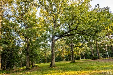 Tiny photo for 0 Highway D - Tract 9 (24.7+/- Acres), Eolia, MO 63344 (MLS # 25078045)