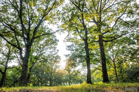 Tiny photo for 0 Highway D - Tract 9 (24.7+/- Acres), Eolia, MO 63344 (MLS # 25078045)