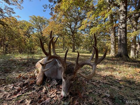 Tiny photo for 0 Highway D - Tract 9 (24.7+/- Acres), Eolia, MO 63344 (MLS # 25078045)