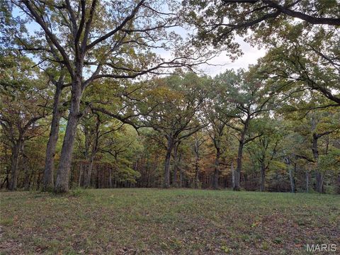 Tiny photo for 0 Highway D - Tract 9 (24.7+/- Acres), Eolia, MO 63344 (MLS # 25078045)