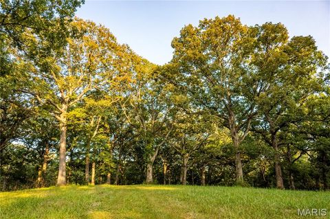 Tiny photo for 0 Highway D - Tract 9 (24.7+/- Acres), Eolia, MO 63344 (MLS # 25078045)