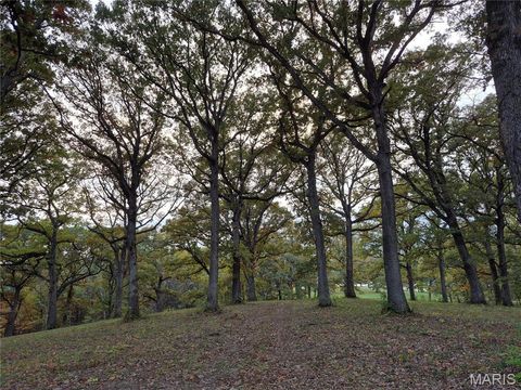 Tiny photo for 0 Highway D - Tract 9 (24.7+/- Acres), Eolia, MO 63344 (MLS # 25078045)