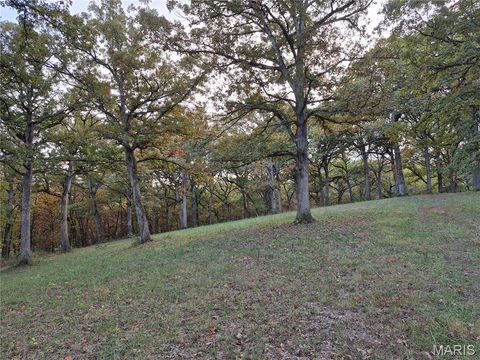 Tiny photo for 0 Highway D - Tract 9 (24.7+/- Acres), Eolia, MO 63344 (MLS # 25078045)