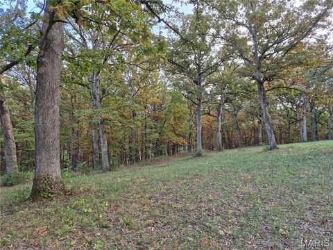 Tiny photo for 0 Highway D - Tract 9 (24.7+/- Acres), Eolia, MO 63344 (MLS # 25078045)