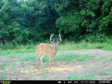 Tiny photo for 0 Highway D - Tract 9 (24.7+/- Acres), Eolia, MO 63344 (MLS # 25078045)