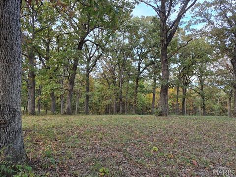 Tiny photo for 0 Highway D - Tract 9 (24.7+/- Acres), Eolia, MO 63344 (MLS # 25078045)