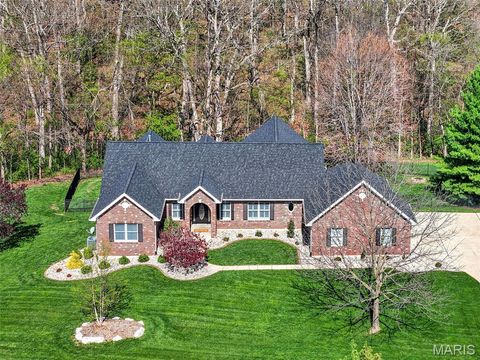Photo of 3 Kilimanjaro Court, OFallon, MO 63366 (MLS # 26034663)
