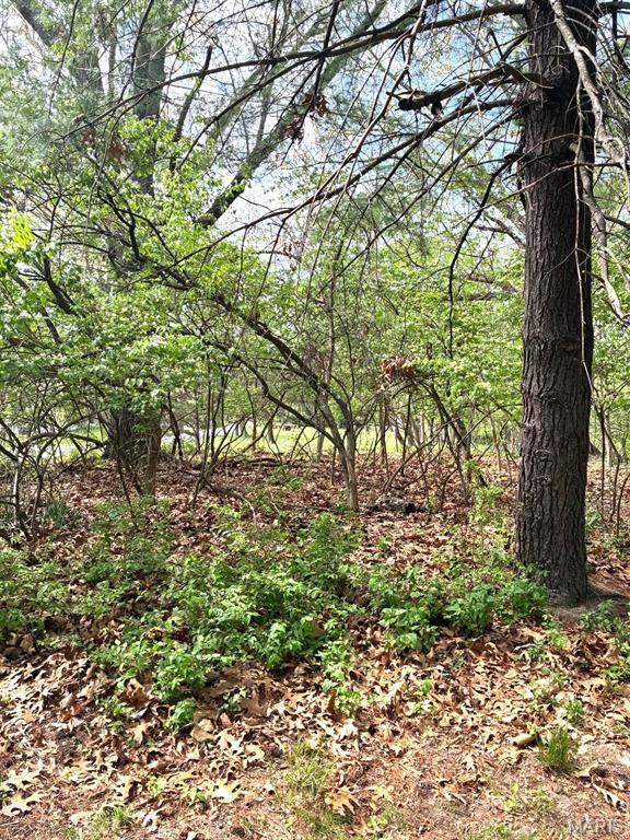Clifton Heights - Land
