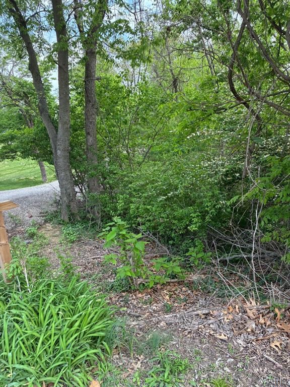 Clifton Heights - Land