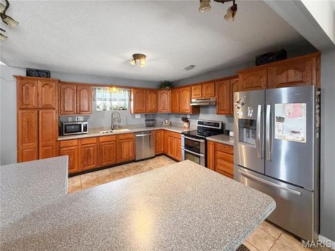 Tiny photo for 2601 Pike 25, Vandalia, MO 63382 (MLS # 26020071)