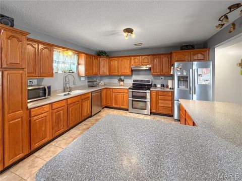 Tiny photo for 2601 Pike 25, Vandalia, MO 63382 (MLS # 26020071)