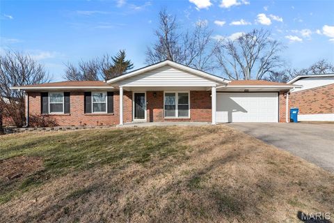 11239 Terry Avenue Bridgeton MO 63044
