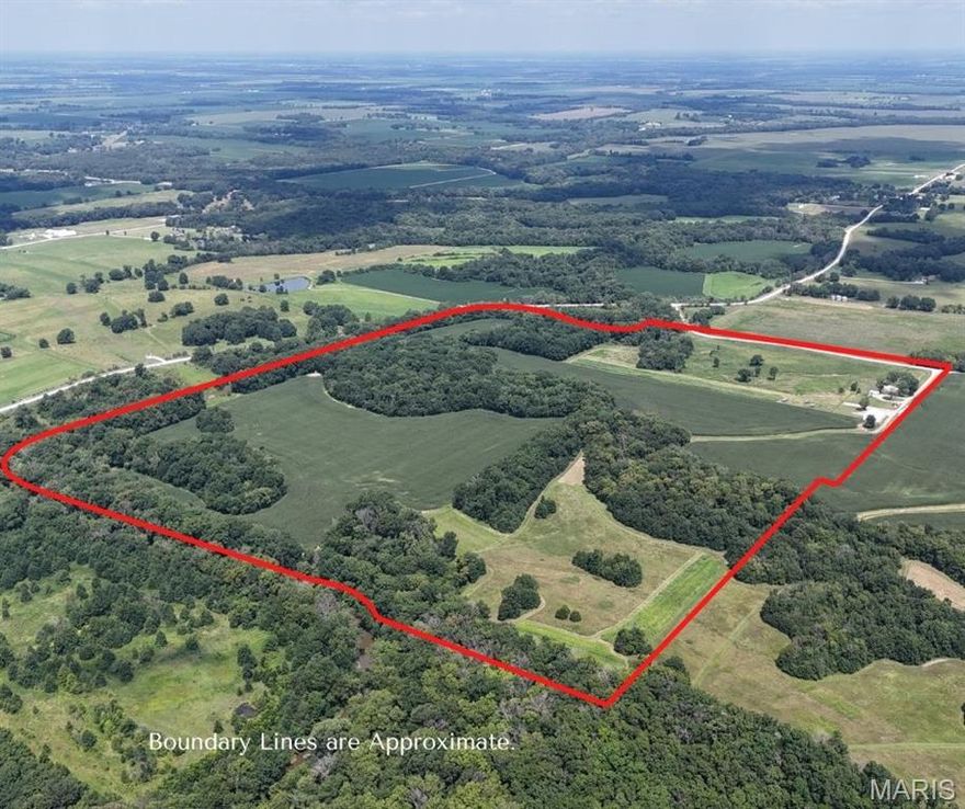 Welcome to 23274 Audrain Road 324—130.222 acres of prime Missouri farmland just outside Mexico, MO. This incredible mixed-use property offers income-producing ground, great hunting, and country charm. With approx. 49 tillable acres earning $200/acre cash rent and 25+/- acres of open pasture, it's ideal for livestock, recreation, or expanding your ag operation. Improvements include a 50x80 equipment barn, 3 cattle huts, 5 grain bins (not operable), steel corral pens, and a 24x24 insulated outbuilding with concrete floors and overhead garage door. The charming 3-bed, 1-bath ranch home (built in1931) offers classic character with modern touches like electric appliances, main-floor laundry, and a spacious living room. Utilities include electric, public and well water, cable, and sewer. Great fencing throughout, with woven wire and a barb strand, plus steel fencing running up the drive. The Salt River borders two sides-excellent for fishing and canoeing. The farm features several food plots premier for whitetail deer and turkey hunting. Perfect for weekend getaways, barbecues, or full-time living. Whether you're farming, hunting, relaxing, or investing, this land delivers. Don't miss your chance to own a beautiful piece of Audrain County!