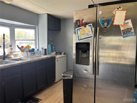 Tiny photo for 104 Prairie Street, Silex, MO 63377 (MLS # 25067833)