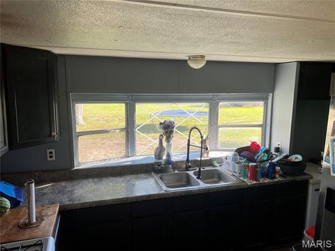 Tiny photo for 104 Prairie Street, Silex, MO 63377 (MLS # 25067833)